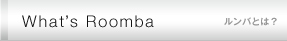 What's Roomba ���ФȤϡ�