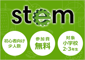 �������ܥå�STEM �鿴�Ը����������åס�������̵�����оݡ����ع�2,3ǯ����