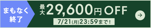 29,600OFF 饤ǥ̲