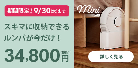 �����ޤ˼�Ǽ�Ǥ�����Ф���������34,800��