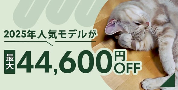 2025ǯȯǥ뤬44,600OFF