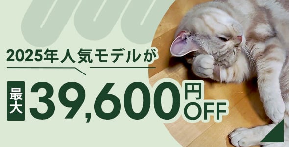 2025ǯȯǥ뤬39,600OFF