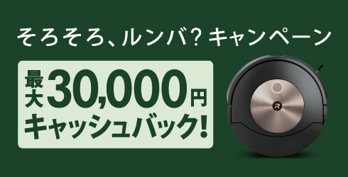 Сڡ󡡺30,000ߥåХå