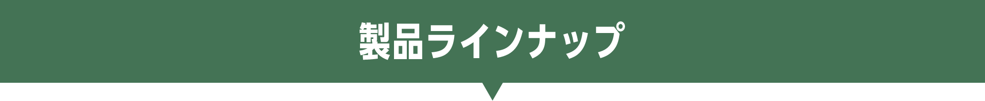 ʥ饤ʥå
