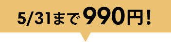 5/31ޤǸ990ߡ